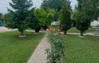 Snagov- Gruiu- Santul Floresti -Proprietate cu stil pentru oameni gospodari! - 1