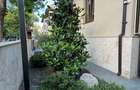 Apartament în vilă | 4 dormitoare | Curte cu grădină japoneză | Garaj, Mă