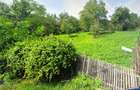 Teren intravilan S=2400 mp, Slanic Prahova - idealimob.ro - 1