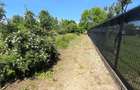 Teren intravilan Snagov / Ciofliceni / 678 mp / D: 52.20 m / comision 0% - 7
