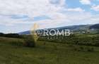 Teren vanzare Centura Donath Nord, 2900 mp - 3