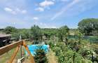 Teren 3100 mp cabana potential investitional Sura Mica Sibiu - 8