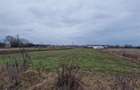 RECO Teren intravilan in Bors cu front mare - 3