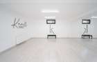 Vila Grandioasa 650 mp+Spatiu Comercial 110 mp Tatarasi Teren 968 mp - 16