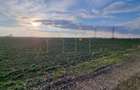 Zona industriala Freidorf. 4.345 mp. Timisoara. - 2