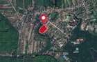 Silistea Snagovului, Teren 23.761 mp, deschidere 226 ml catre lac - 6