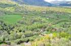Teren intravilan Bran- Predelut - 7
