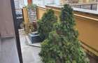 3 Splendida in Primaverii, renovat recent, curte, parcare,INCHIRIATA - 10