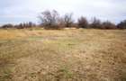 Vând teren agricol  2 ha cu deschidere la Dunăre - 6