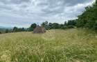 Teren Intravilan 3093 mp-ideal case/cabane/pensiune-Bistrita Bargaului - 5