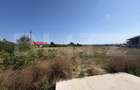 Teren 15.000 mp, zona Bucureasa - 3