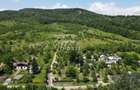 Teren spectaculos cu padure, livada si priveliste panoramica in Soimari PH - 3