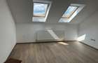 Casa Pensiune in Viile Satu Mare teren 1,63 ha, 11 camere, 10 bai - 9