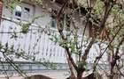 Casa cu etaj zona Donici-Imparat Traian - 1