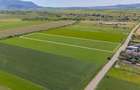 Teren 9.300 mp Stupini | Front 45.59 m la Asfalt | PUG Zonă L1c - 7
