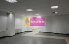 Locul Potrivit pentru afacerea ta - Otopeni- Calea București - 6