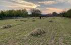 Teren  intravilan, ca un colț de Rai  lângă Snagov  - 8