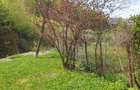 Vand  casa cu gradina - 2