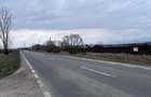 Teren 50000mp Extravilan-Intrare Halchiu-Cod 5235 - 3