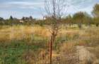 Teren intravilan de vanzare, 1400 mp, zona Bercu Rosu - 7