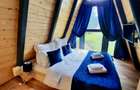Teren 34,5 ari + cabana A-frame Colibita – ideal pentru resort, spa sau pensiune - 7