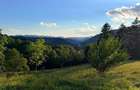 🏔️ TEREN INTRAVILAN DE VÂNZARE – BRAN | 9.085 MP | PRIVELIȘTE PANORAMICĂ | UTIL