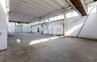 Două hale de închiriat – 863 mp | Calea Moinești | Zonă industrială - 12