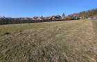 TEREN DE VÂNZARE – ZONA VÂRTEJ, ÎNTORSURA BUZĂULUI - 5