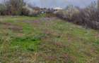 Teren Topoloveni - 3670 mp - langa padure, aproape de Centrul orasului - 5