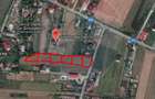 Vanzare teren Snagov - Izvorani, Strada Gradinarilor - 8
