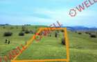 De vânzare teren extravilan în Sărămaș! - 8