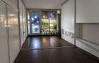 Vilă Premium Mixed-Use 842 mp | Snagov | Business & Residence - 4