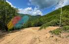 Teren 2200 mp, intravilan, zona Somesul Rece - 1