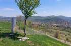 Teren Campina platoul Muscel - 12