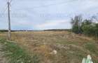 Teren Intravilan pentru constructie, 3000mp, Branesti, Ilfov - 3