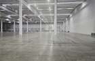 Spatii Industriale - 10000 mp - Logistica - Productie - Depozitare - Distributie - 3