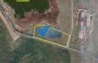 Teren Murighiol - Lacul Pietrei - locatie deosebita - 10