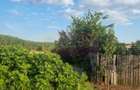 VANZARE TEREN 2150 MP IN SAT TEISORI (GR) - 6