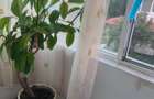 Exclusivitate! Apartament 2 camere - confort 0 - Navodari - Lidl(Cod E5) - 8