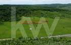 Teren de vânzare – 4.000 mp la intrare in Bradu, județul Sibiu - 3