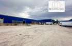 3 Hale Clasa A | 11.250mp Construiti 25.450mp Teren | Freidorf - 13