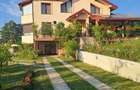 Proprietate deosebită în Bucium - 7