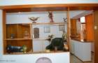 Centru - Prefectura, apartament 2 camere, 46 mp, de inchiriat - 6