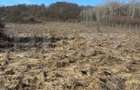 Teren  intravilan, 4300 mp, utilitati la 500 m, Valea Garbaului - 1