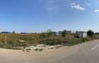 Teren proiectr logistic de vanzare A1 Km 13 Business Park - 7
