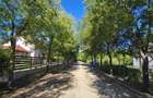 Loturi constructie intre 80-95 Euro/mp - Afumati, Strada Padurii - 2
