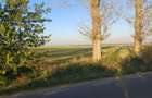 Lipia deschidere la DJ 101B ( Snagov-Nuci) - 7