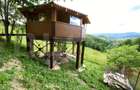 Casa cu potential turistic, 380 mp, FUNDATA - 6