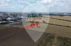 Teren de vânzare – 5.000 mp, intravilan, zona Danubiana – Popești-Leordeni - 1