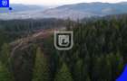 Teren situat in Frasin | BUCOVINA - 7